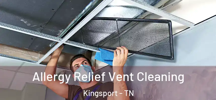  Allergy Relief Vent Cleaning Kingsport - TN