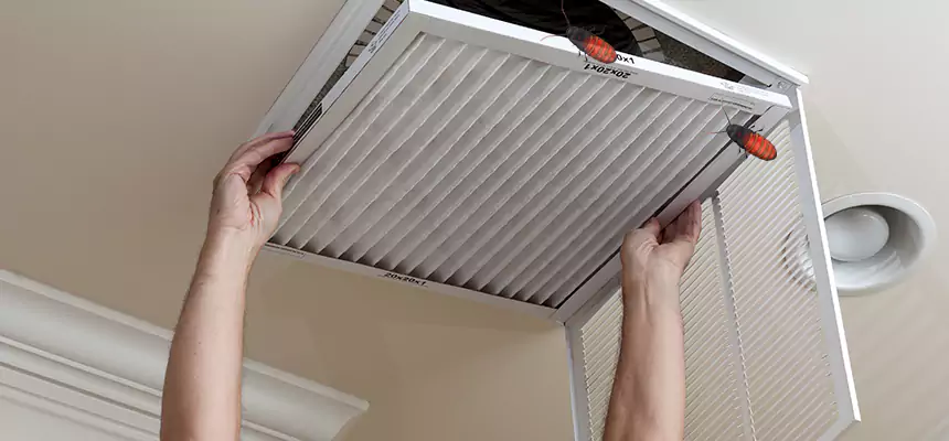 Preventive Cockroach-Proofing for Ducts in Kingsport