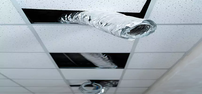 Our Air Duct Pet Hair Removal Services in Kingsport, TN