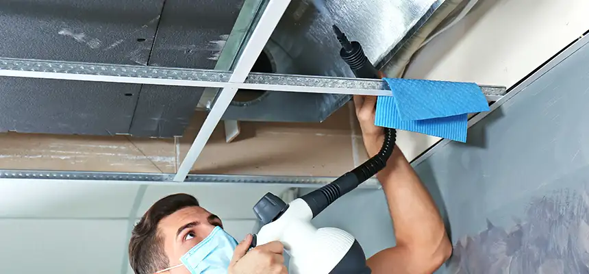 Our Air Duct Rodent Removal Services in Kingsport, TN