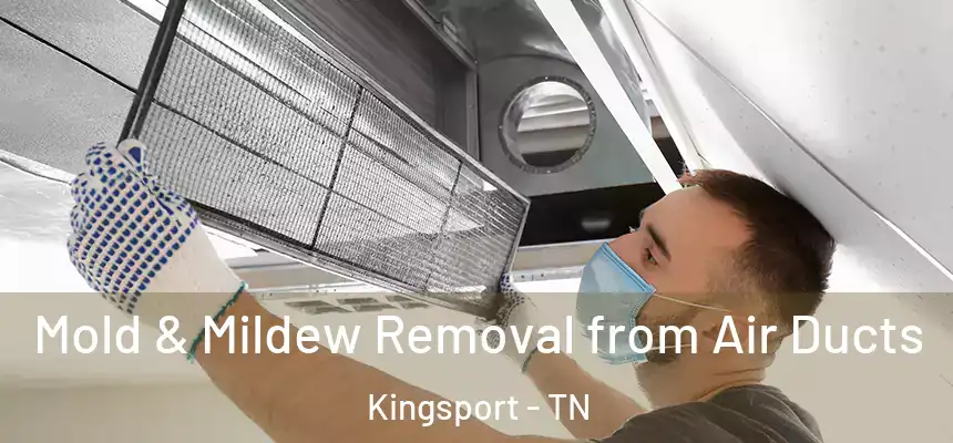  Mold & Mildew Removal from Air Ducts Kingsport - TN