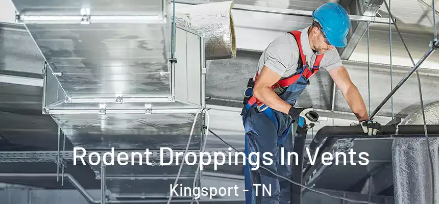  Rodent Droppings In Vents Kingsport - TN