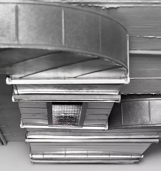 Professional Air Duct Pet Hair Removal in Kingsport, TN