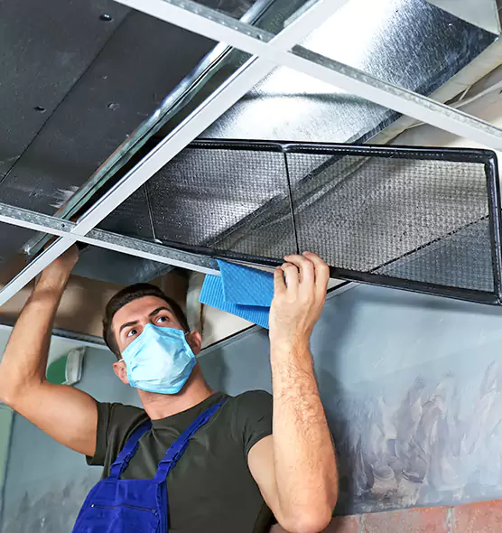 Professional Air Duct Pollen Cleaning in Kingsport, TN