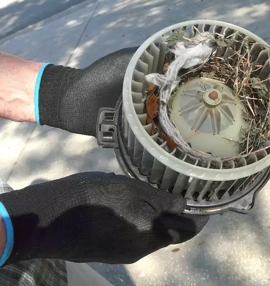 About Air Duct Rat Removal in Kingsport, TN