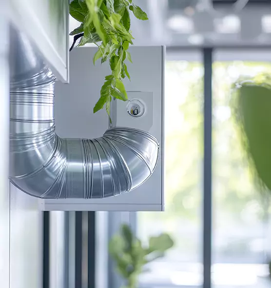 Professional Eco-Safe Dryer Vent Cleaning in Kingsport, TN