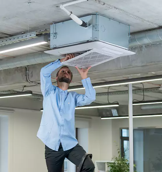 Advanced Rodent Droppings In Vents in Kingsport, TN