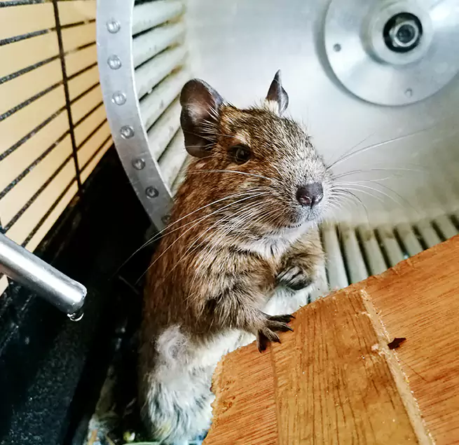 Why Homeowners & Businesses Trust Us Kingsport, TN