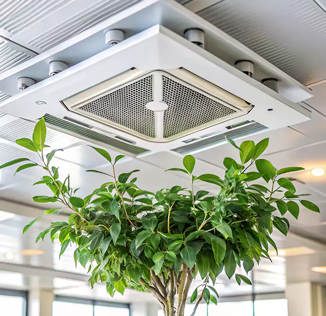 Why Homeowners & Businesses Trust Us in Kingsport, TN?